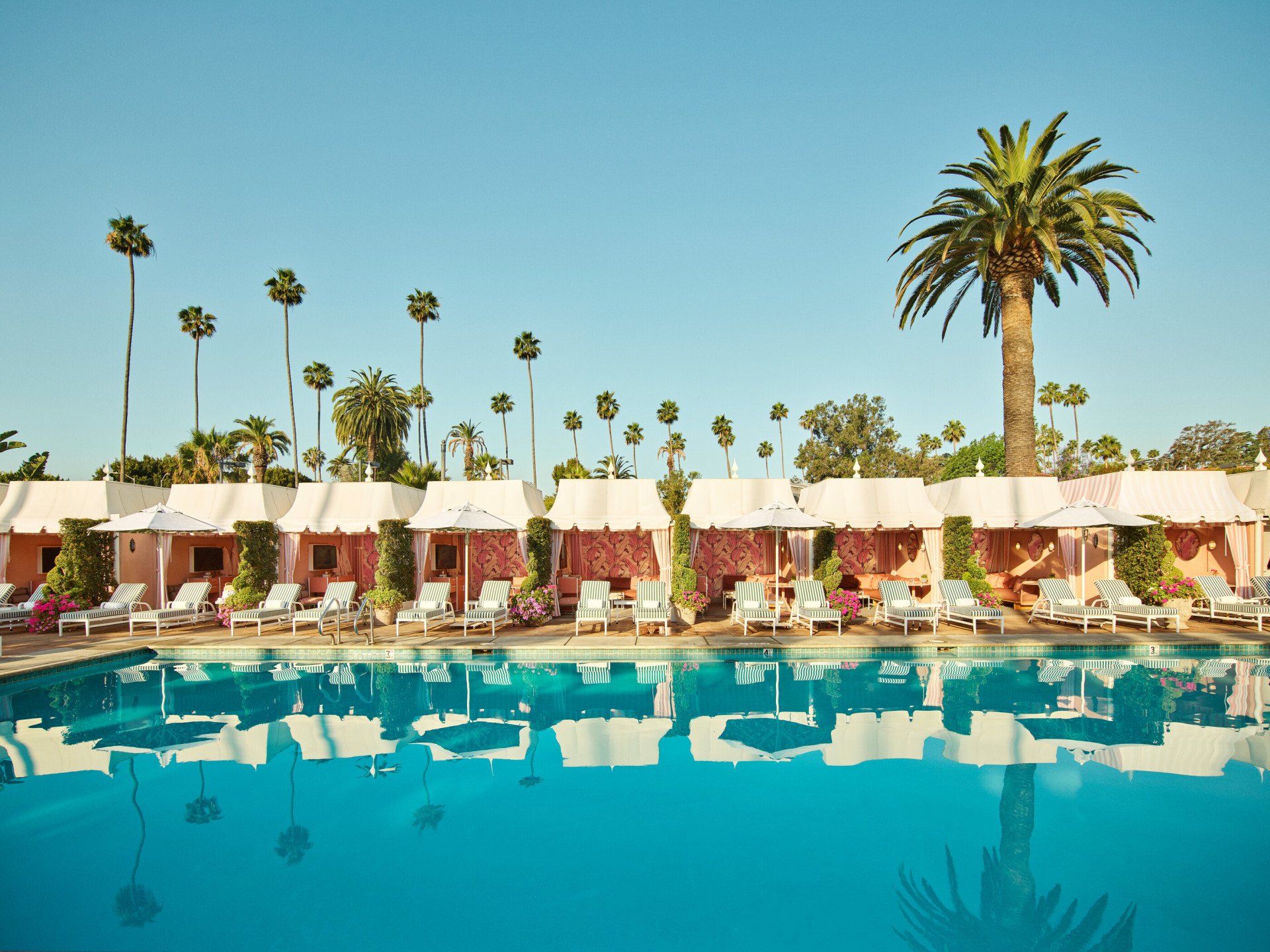 Poolside scene with striped lounge chairs and pink cabanas under umbrellas. Tall, lush palm trees line the background, evoking a serene, tropical vibe.