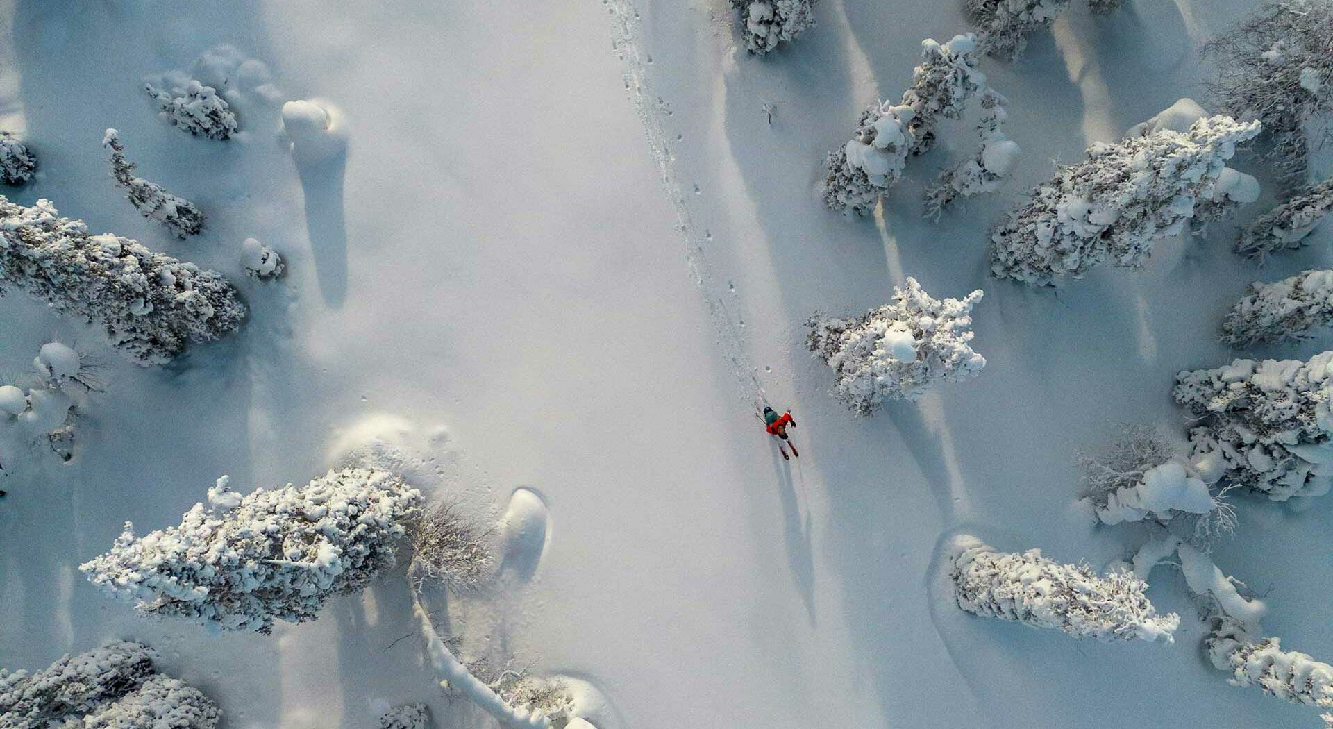 Tsugaike Village, Hakuba Valley branding materials include a key visual featuring an aerial view of a skier in a red jacket moving through a snowy forest. Snow-laden trees create a serene, wintry landscape, casting long shadows.
