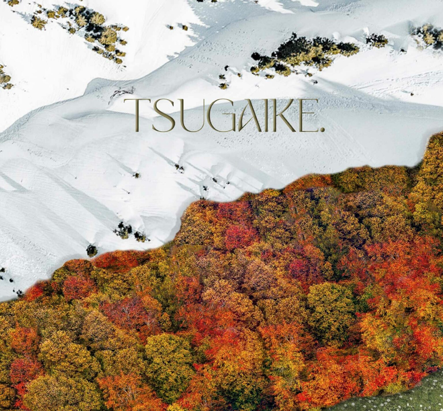 Tsugaike Village, Hakuba Valley branding materials include a brochure titled 