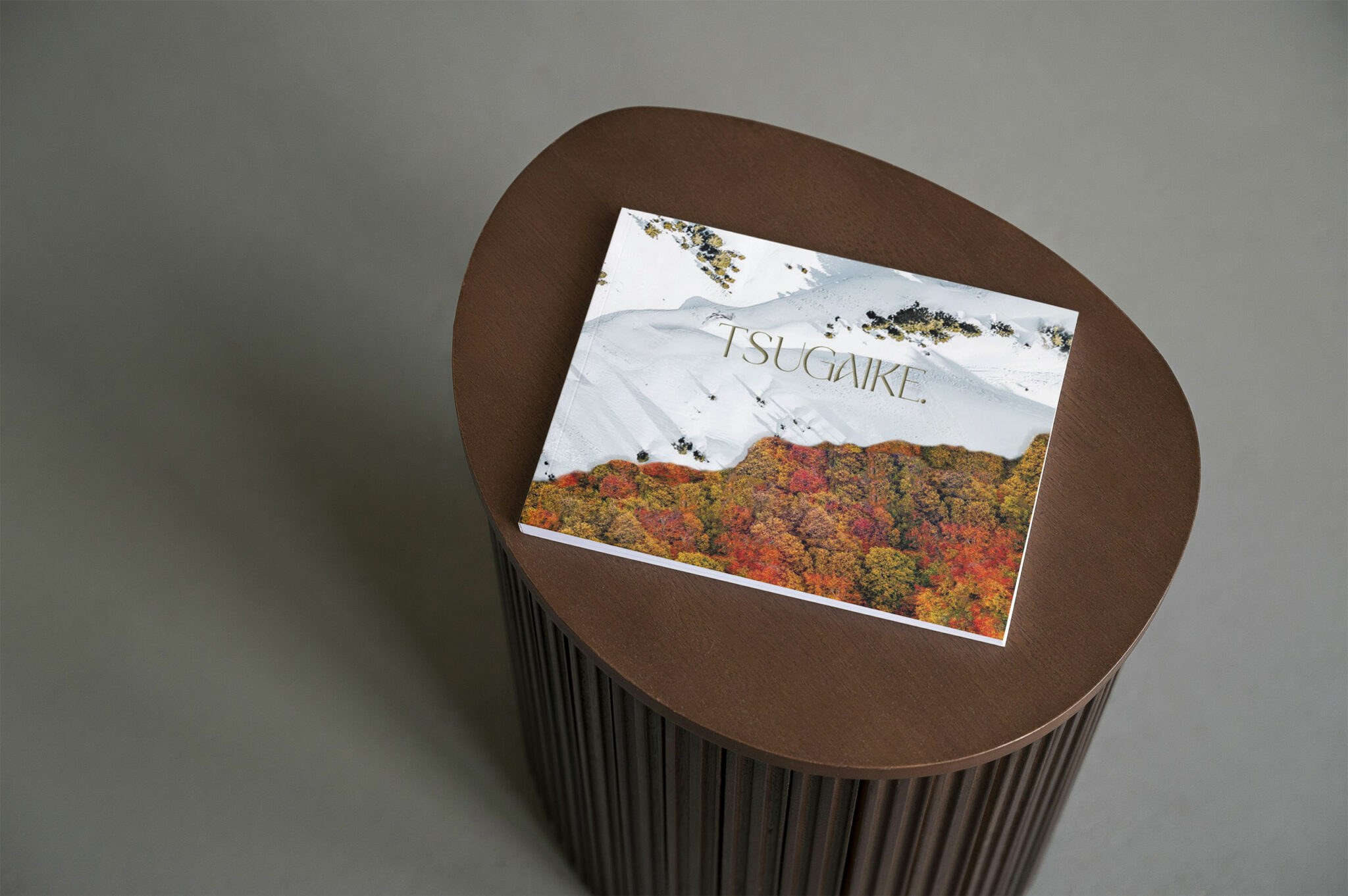 Tsugaike Village, Hakuba Valley branding materials include a brochure titled 