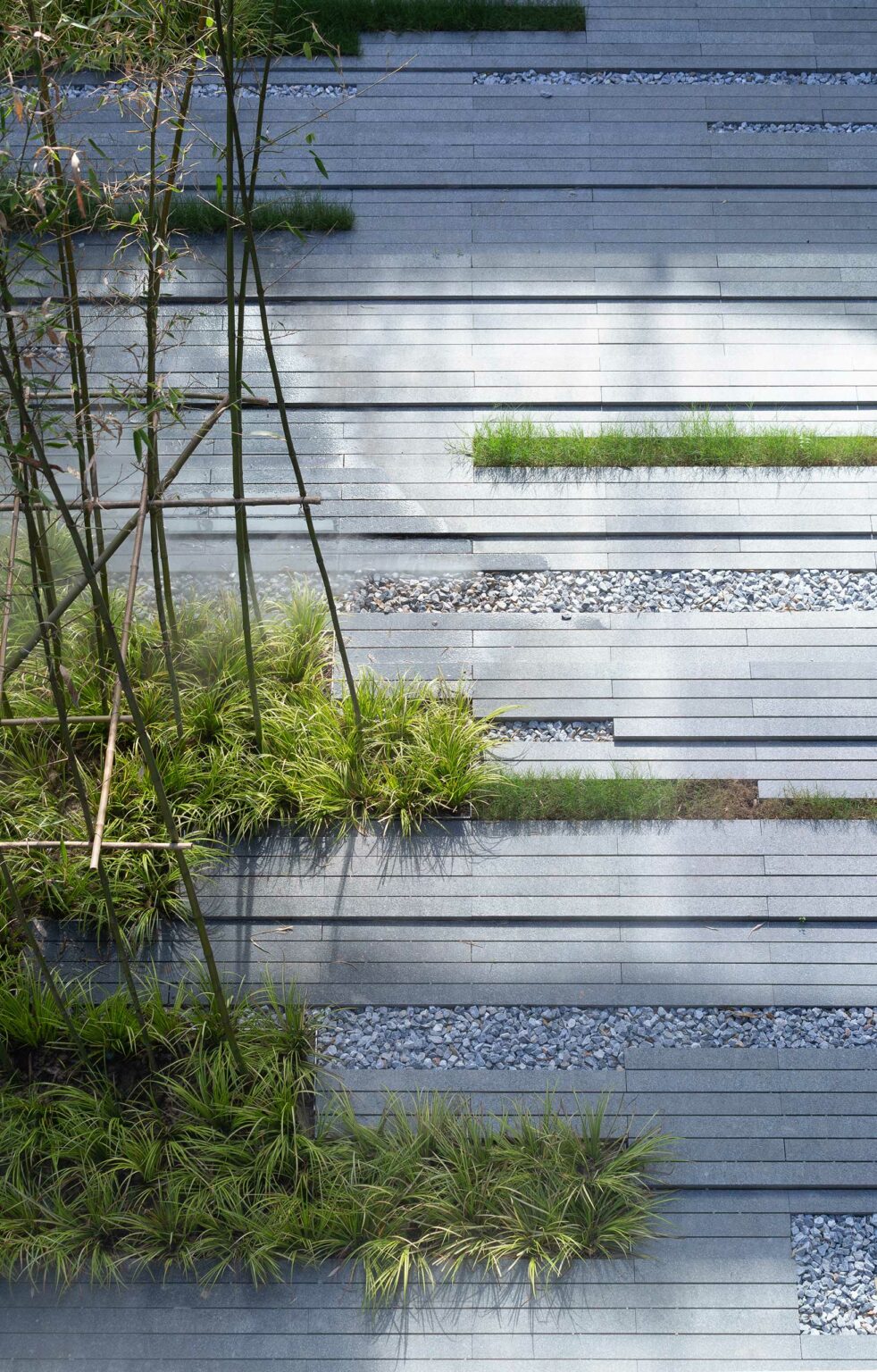 Modern hotel garden design with horizontal slate pathways, patches of green grass, bamboo plants, and smooth pebbles, creating a serene, structured appearance.