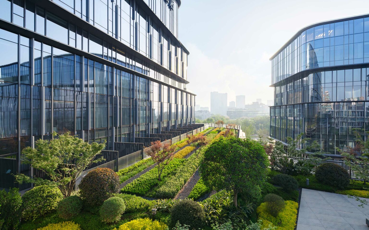 Modern commercial glass buildings flank a vibrant rooftop garden with lush greenery, creating a serene, eco-friendly urban setting under a clear, bright sky.