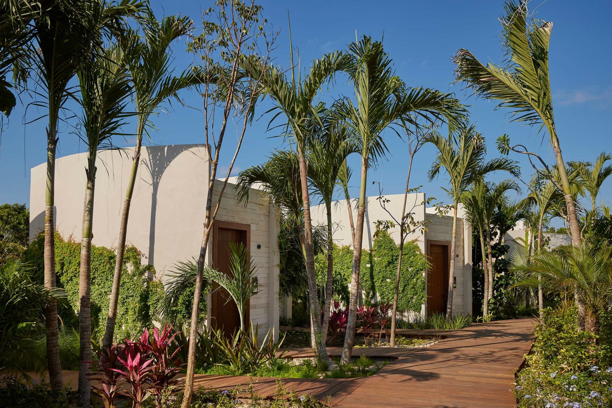 Modern resort bungalows surrounded by tall palm trees and lush tropical plants, set along a wooden pathway under a bright blue sky, conveying a serene, tropical vibe.