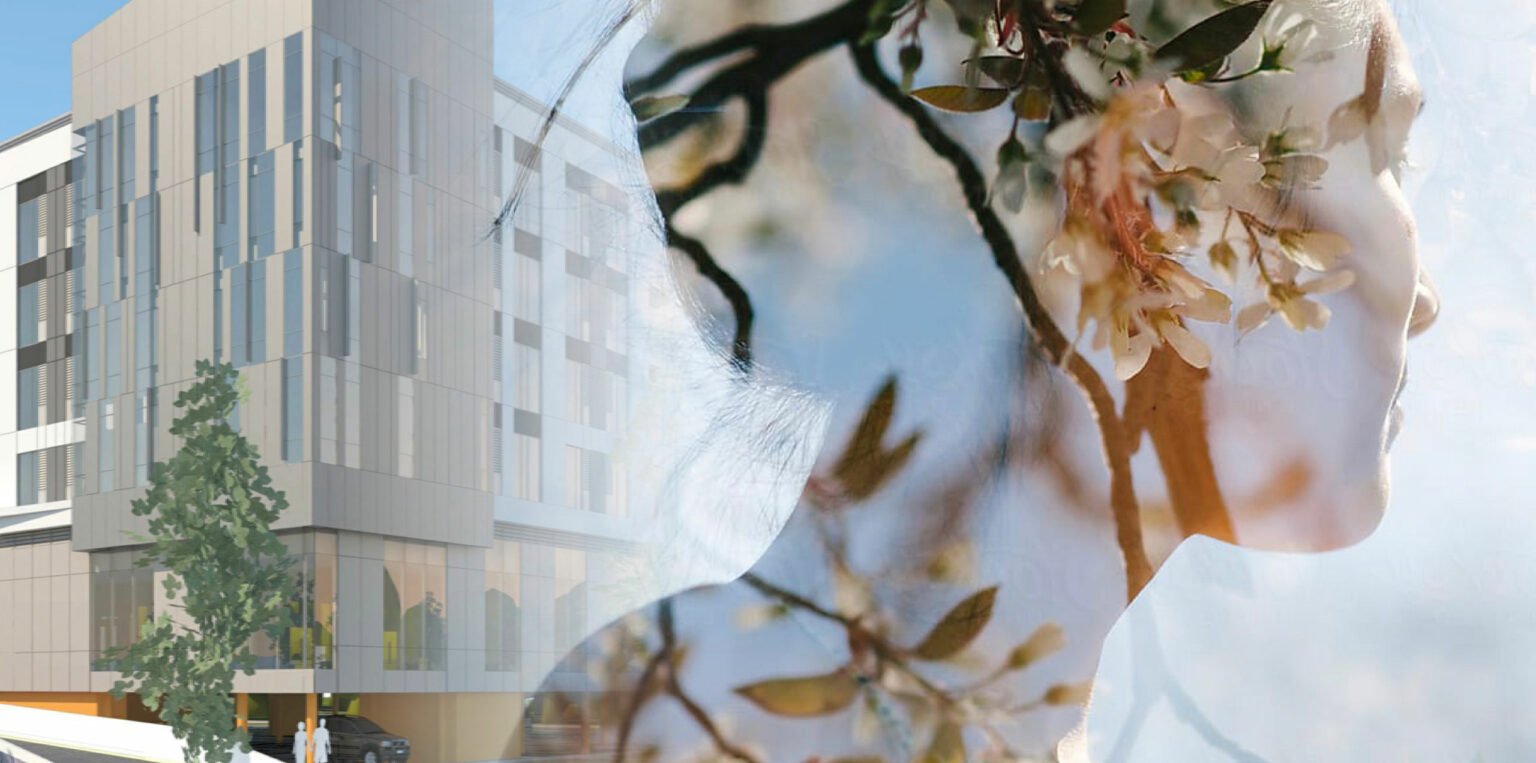 Hotel Caliso branded materials include a serene double exposure image featuring a woman's profile overlaid with blooming branches. On the left, a modern building and trees are visible, blending nature and urban elements.