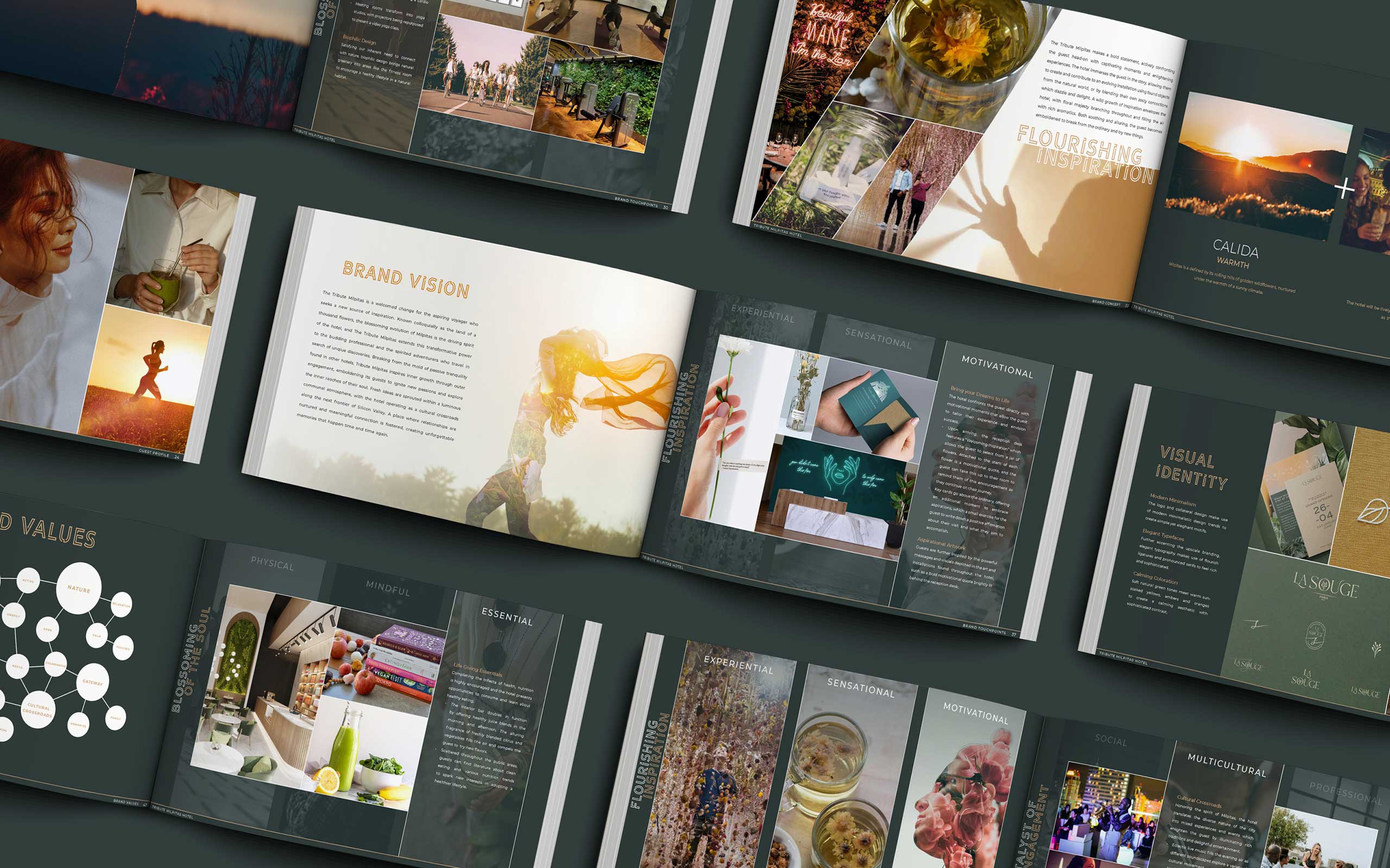 Hotel Caliso branded materials include open brochures on a dark surface display vibrant images and varied text layouts, conveying a professional and creative brand vision.