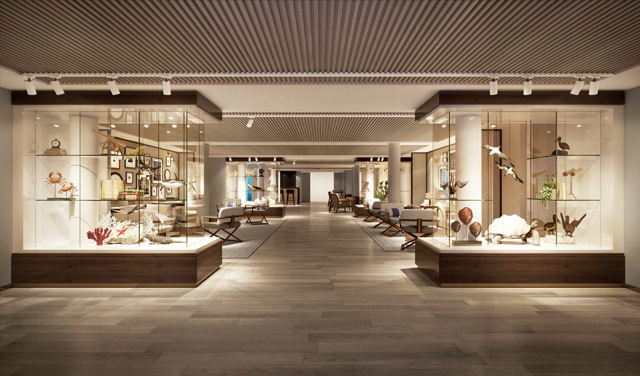 A modern cruise lounge with a sleek, minimalist design. Glass display cases showcase nautical-themed decor. Soft lighting and neutral tones create a calm ambiance.