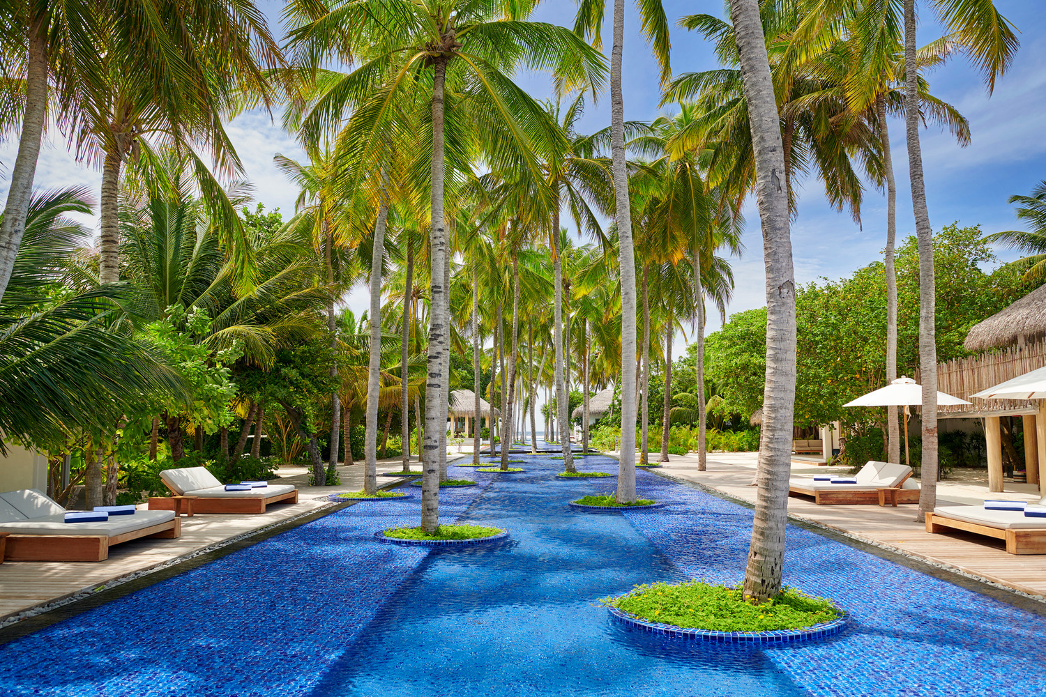 A luxurious pool lined with palm trees.