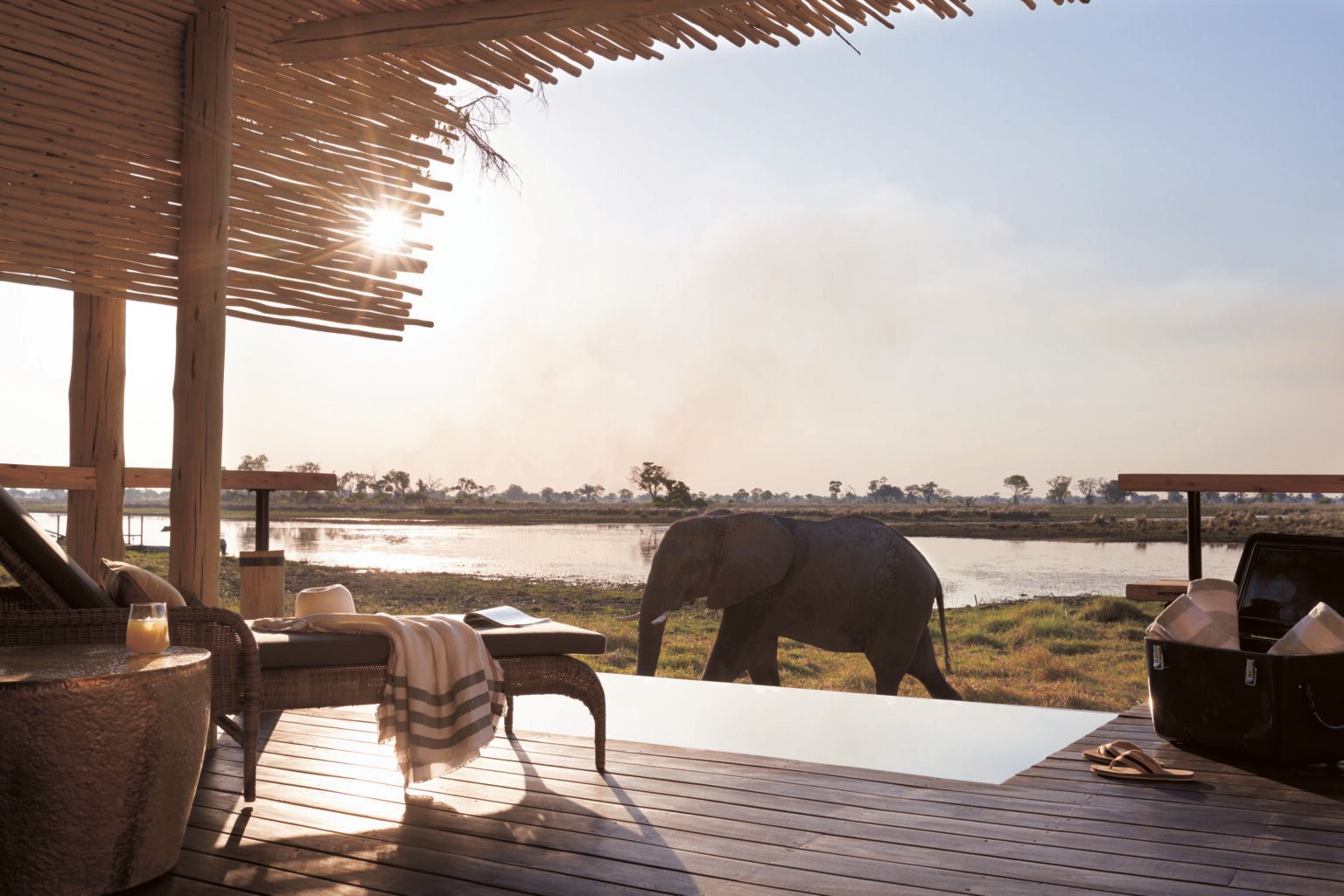 A serene scene of a sunny veranda overlooking a watering hole with an elephant walking past. A lounge chair, drink, and hat add a relaxed ambiance.