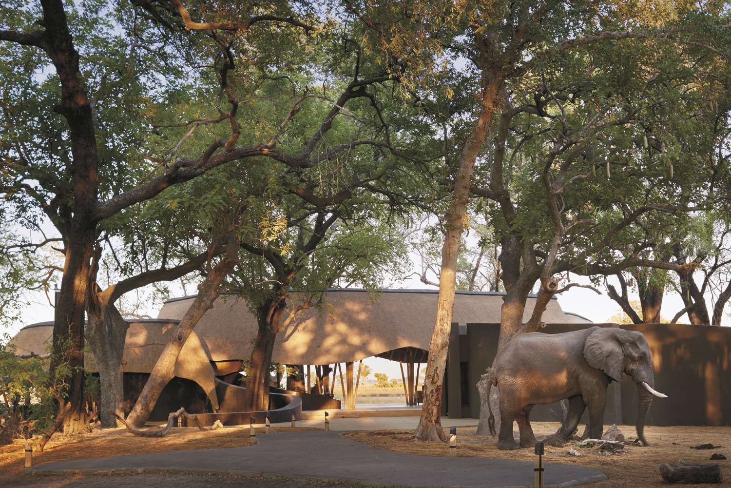 A luxury African safari lodge, characterised by design rooted in cultural nuance and bespoke details throughout.