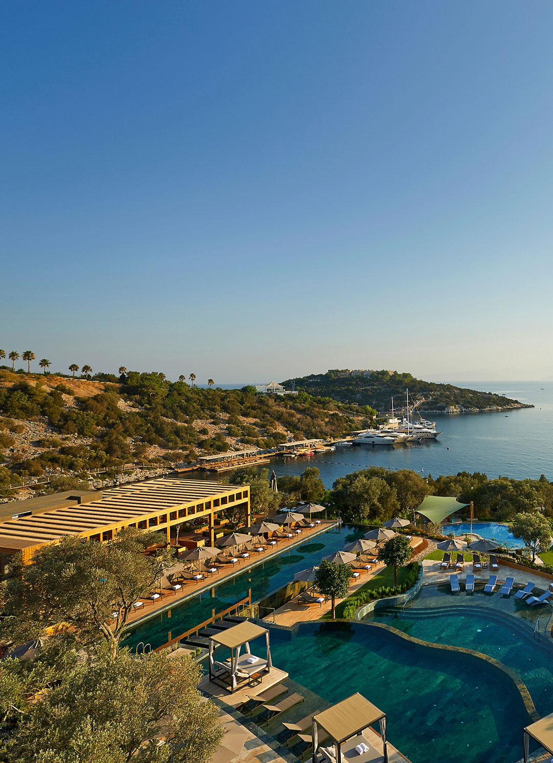 A scenic coastal view of a luxury resort with a large pool surrounded by greenery, overlooking a calm blue sea. The atmosphere is serene and sunny.